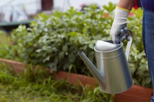 Ekologiczne nawozy do ogrodu – na co zwracać uwagę?