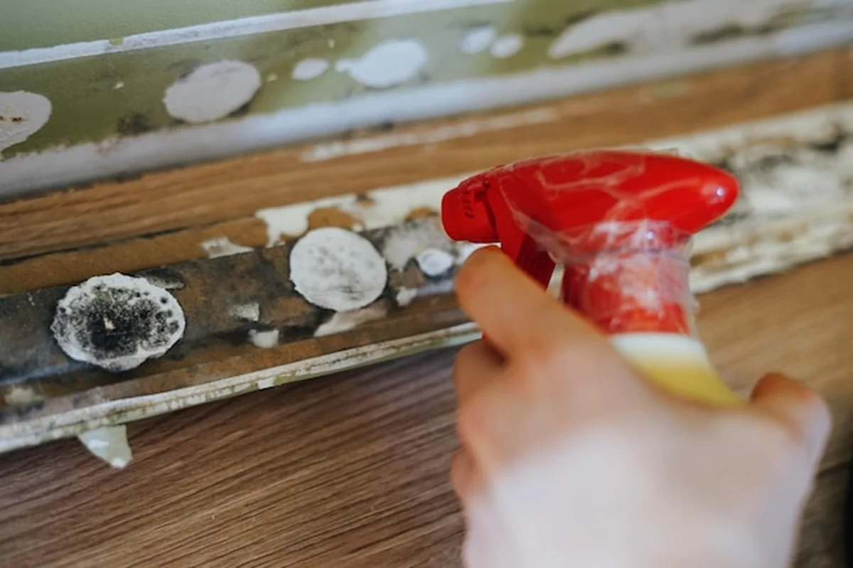 Kobieta trzyma rozpylacz na czarną pleśń na podkładce z wilgocią i wentylacją powodziową